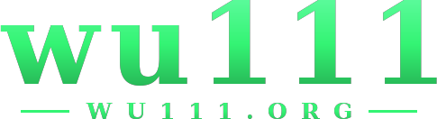 wu111 logo